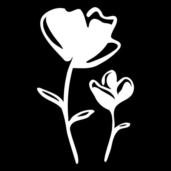 Meet your Posher, Two Pretty! - Picture 1 of 1